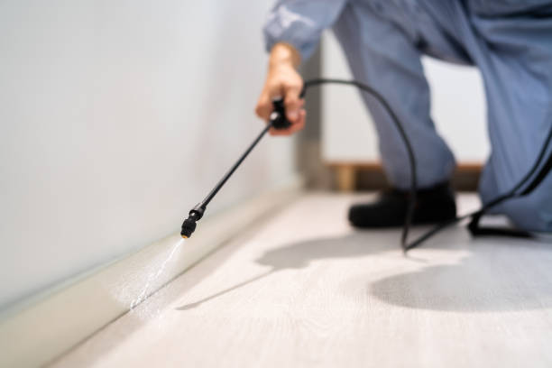 Licensed Termite Control service in Lathrup Village, MI - Nex Pest Control