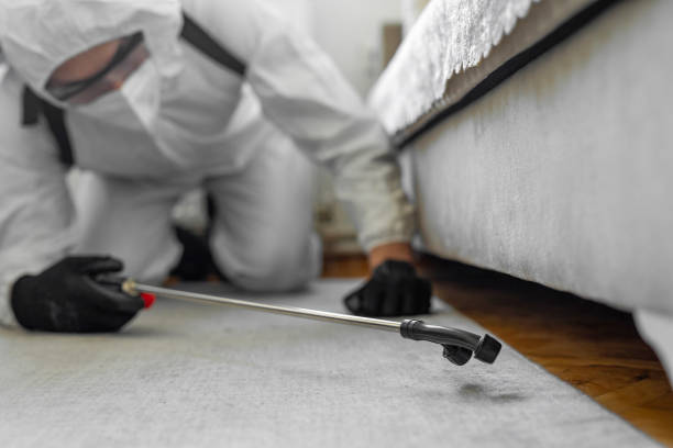 Professional Termite Control technician working in Lathrup Village, MI
