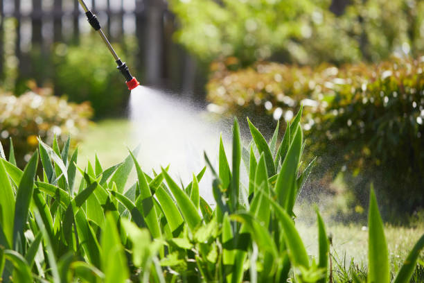 24/7 Emergency Termite Control experts in Lathrup Village, MI