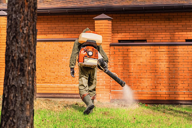 Trusted Termite Control service in Lathrup Village, MI - Nex Pest Control
